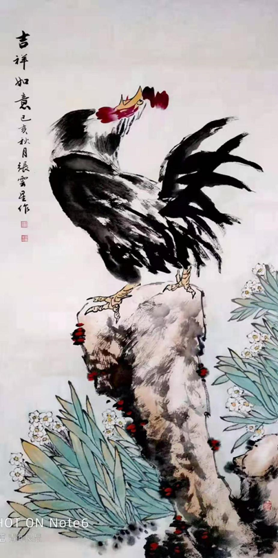 张云星